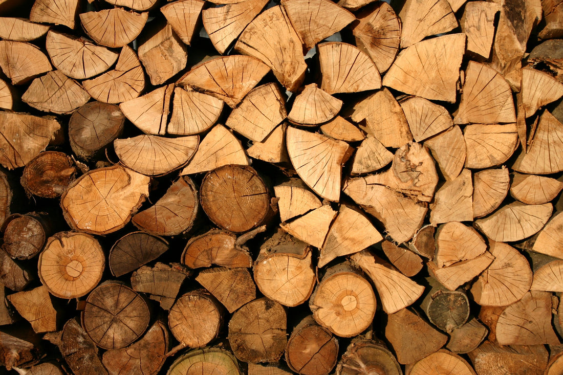 The Wonderful World of Wood